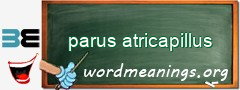 WordMeaning blackboard for parus atricapillus